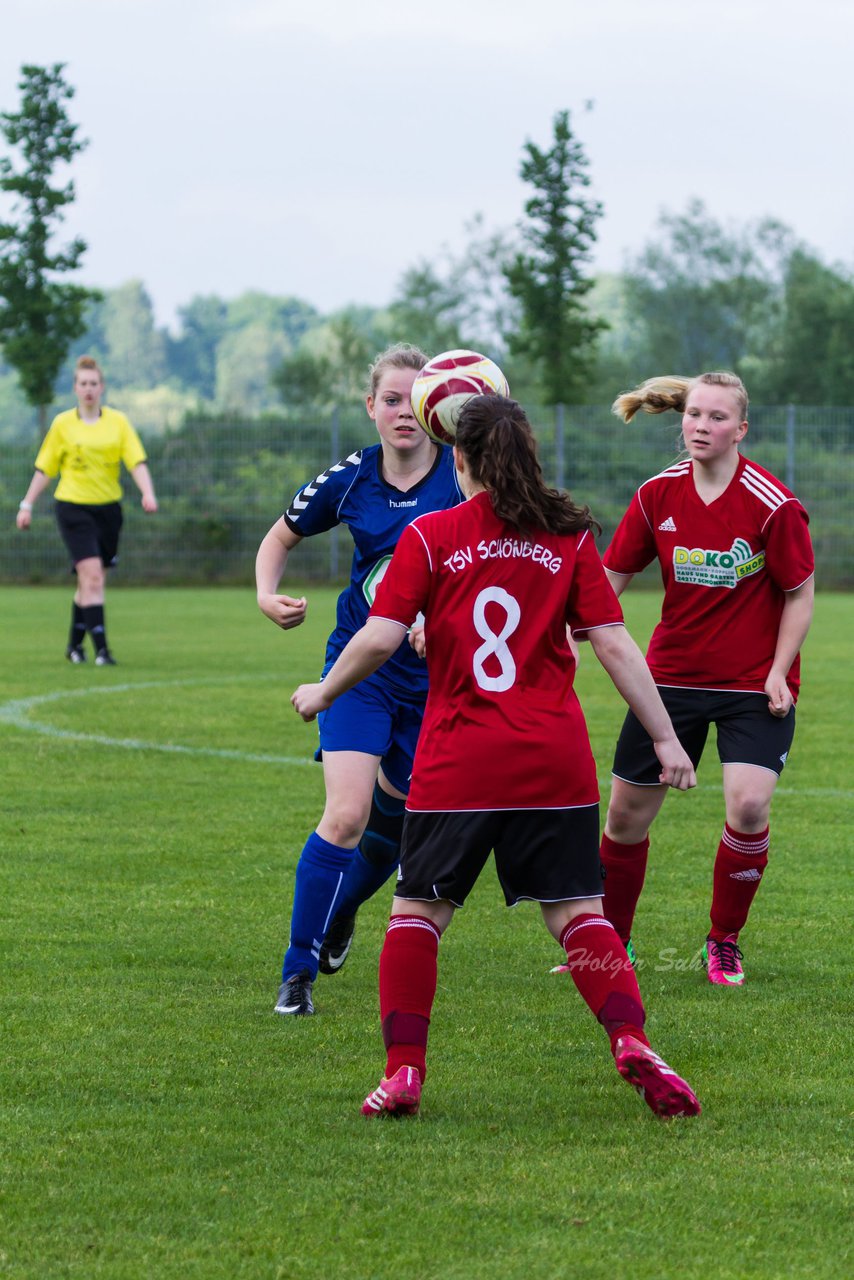 Bild 162 - B-Juniorinnen FSC Kaltenkirchen - TSV Schnberg : Ergebnis: 1:1